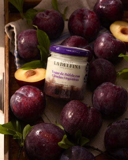 Yogur Batido con Ciruela Orgánica