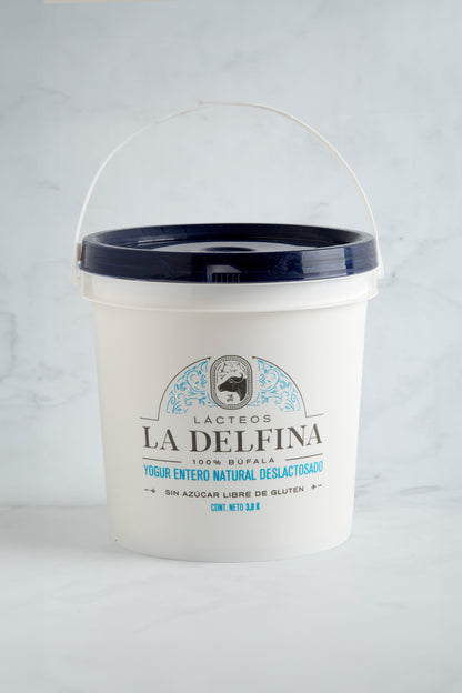 Yogur Deslactosado (Envase 3.8 Kg)