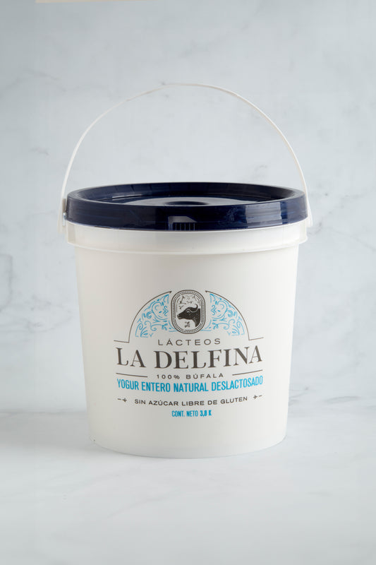 Yogur Deslactosado (Envase 3.8 Kg)