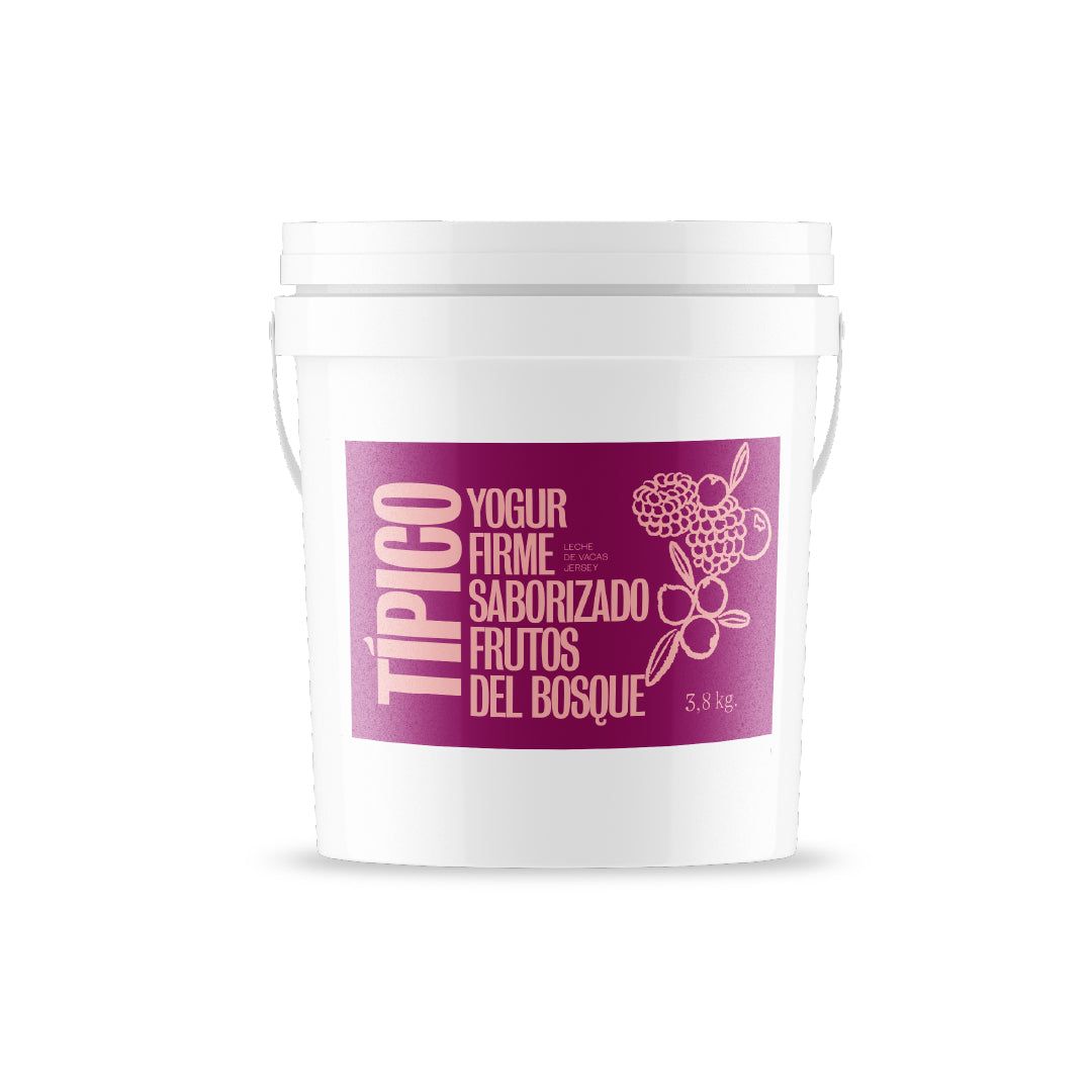 TIPICO - Yogur Saborizado - Frutos del Bosque 3.8 kgs